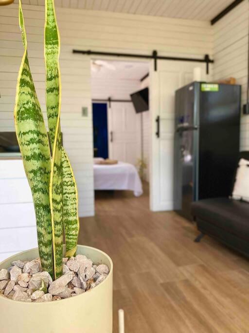 Hoja Azul Loft Guanacaste Apartment Hojancha Ngoại thất bức ảnh
